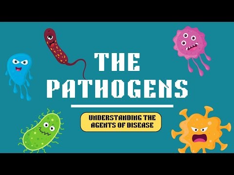 Understanding Pathogens: Bacteria, Viruses, Fungi & Parasites | Explained