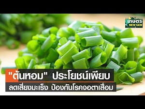 "ต้นหอม" ประโยชน์เพียบลดเสี่ยงมะเร็ง ป้องกันโรคจอตาเสื่อม | เกษตรนิวเจน