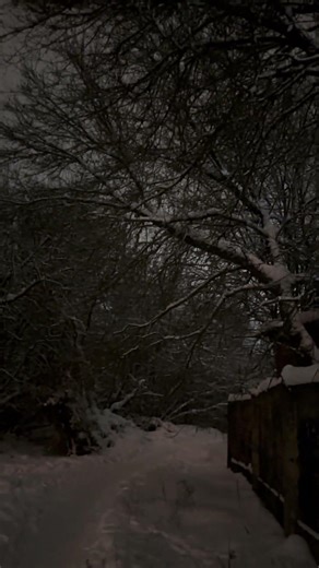 Вечерний зимний Вайб