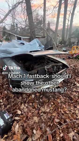 It’s getting restored soon #car #mustang #ford #rare #abandoned | mustang car