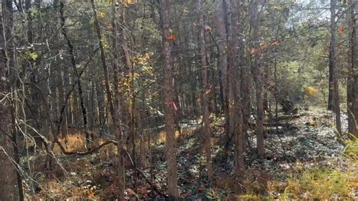 JAMES MONROE DICKERSON | Carlton Dickerson