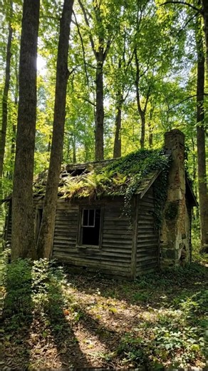 There’s something hauntingly beautiful about a cabin that the world forgot. Sunlight still finds its way through dusty windowpanes, but the floor is softened by moss, ivy, and fallen leaves—like the forest is gently tucking the place in instead of tearing it down. Inside, a stone fireplace stands quiet, a broken chair leans where it fell, and a small teddy bear sits in the stillness… like it’s been patiently waiting for someone to come home. This isn’t just an abandoned cabin—it’s a reminder tha