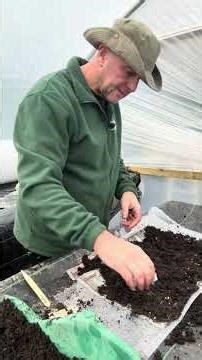 Harvest365 – Grow Your Own All Year - What’s Growing Now: Beetroot Seed Sowing