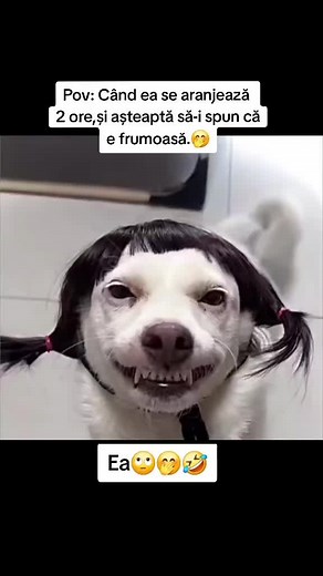 Videoclipuri postate de CyberDreams (@cyb3r_dreams) cu sunet original - CyberDreams