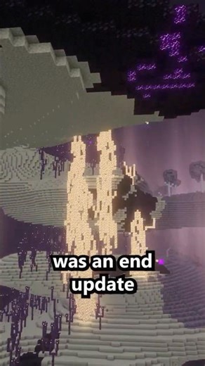 Cool Minecraft End Update - Nullscape Mod #minecraft