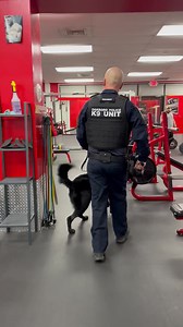 320K views · 10K reactions | K-9 Joker  knew just where we needed...