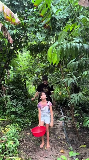 Evergreen 🪴/ solitude farm 🌱 . Cinematography - .