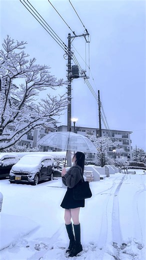 Experience the Beauty of Snow in Japan
