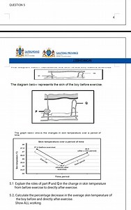 Question 5.1Explain the roles of part P and Q in the change in... | Filo