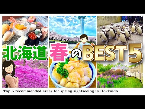 [Hokkaido trip] Top 5 spring sightseeing areas where you can enjoy meals, healing, and entertainment