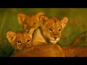 Finding Nemo Animal Style Part 3 First Day of School