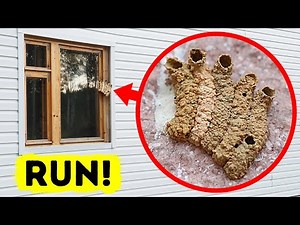 That's Not Mud, and You Should Run If You See It