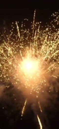 Weco Goldfinger #lidlfeuerwerk