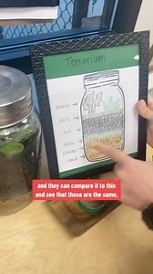 3.1K views · 247 reactions | Such a beautiful botany study in the Montessori preschool classroom—coloring the layers of a terrarium! ☘️ This hands-on activity helps little ones visualize how soil, rocks, and plants work together to create a thriving mini-ecosystem. A perfect way to bring a little green into the classroom for St. Patrick’s Day! #preschoolteacher #preschoolactivities #montessorimom #kidsactivities #montessoriathome | Montessori Miss Emily | Facebook