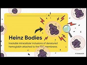 Diagnosing Hemolytic Anemia, Medical Laboratory Basics: Hematology and Coagulation