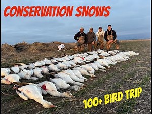 Kansas Snow Goose Hunt Conservation SZN