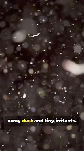 Blinking Isn’t Just Reflex—It’s Brain Maintenance!!! #tiktok