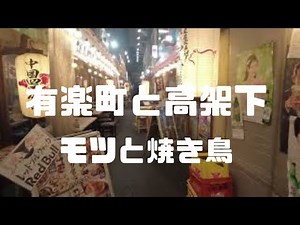 有楽町の高架下 居酒屋でのモツと焼き鳥 大人の心の支え Yurakucho in Tokyo Yakitori beer pub is the heart of Japanese soul