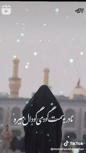 Mostafa (@mostafamohamadian)’s videos with original sound - Mostafa