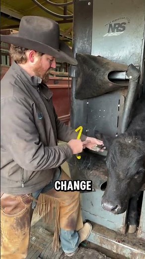 DIY Custom Cattle Tags