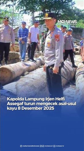 Kayu Bertanda Kemenhut Terdampar. Bongkar Asal-usulnya!..Viral kayu gelondongan bertanda Kementeri