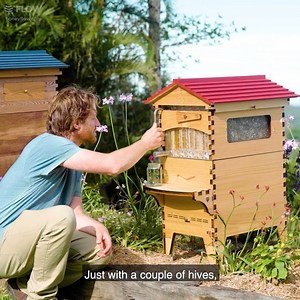729K views · 2.8K reactions | Beekeeper Jim, an Aussie living in Norway keeps Flow Hives on his gorgeous farm with ducks, chickens, horses, emus, cockatoos, and now bees! "I love the Flow Hive concept because it's so simple. You can really make some nice honey and do something for the environment." #Flowhive #beekeeping #selfsustainable | Flow Hive | Facebook