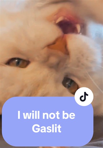 This is what happens when cat enrichment isn’t good enough. My cat took one look and chose violence. #catenrichment #indoorcat #catbehavior #funnycats #mainecoon