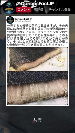 寒さに勝てる本当の理由