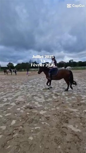 #equitation #horse #cso