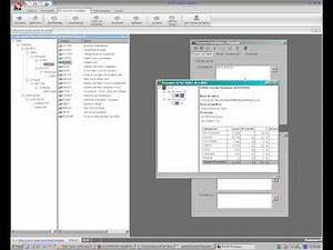 Tutorial Redatam - Process. Demo 21