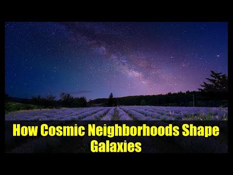 How Cosmic Neighborhoods Shape Galaxies | DEVILS Survey Explained
