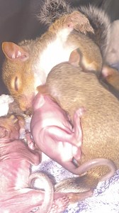 12M views · 50K reactions | Sigh. Folks, If you happen upon this...