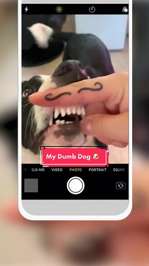 DIY Cute Dog Keyboard Background Tutorial