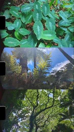 1.1K views · 40 reactions | A Few Moments of Peace and Beauty Here...