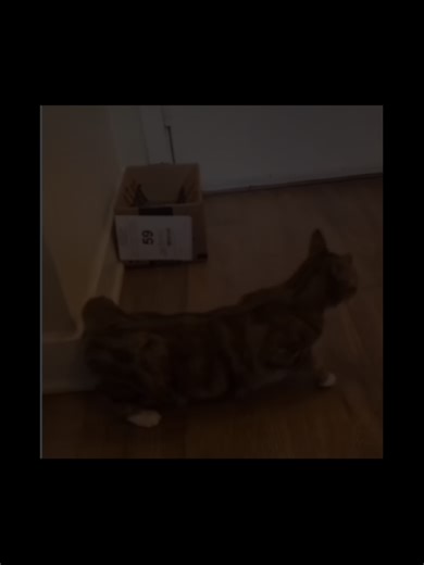 Enigmatic Nature Scenes