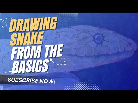 “How to Draw a Realistic Snake🐍✨ Step-by-Step Art Tutorial