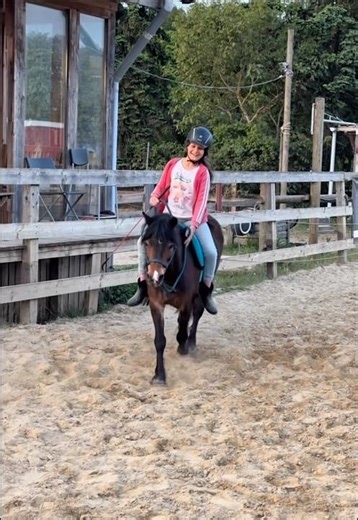 Unsere Kids & ihre Ponys 🥹♥️ #pferde #reiten #horsemanship #naturalhorsemanship #pony #pferdeliebe
