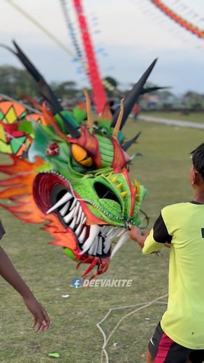 The wind is too low, the dragon kite doesn't fly perfectly. | Deeva Kite