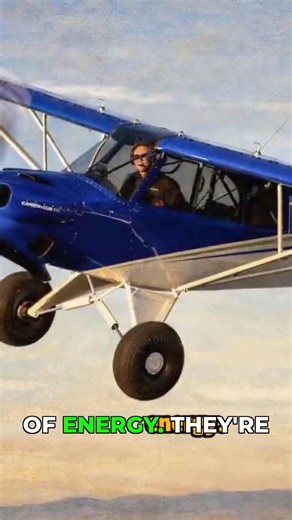 Husky vs X-Cub: Pilots Choose Wrong Every Time #flying #aircraft #aviation