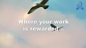 DXN Ganoderma Coffee Business on Reels