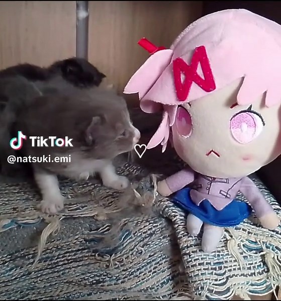 The suki and some silly cars 🧁🩷 #natsuki #cat #dokidokiliteratureclub #ddlc #ddlcplus