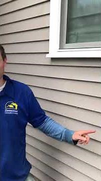 how to clean fly poop or artillery fungus stains off vinyl siding