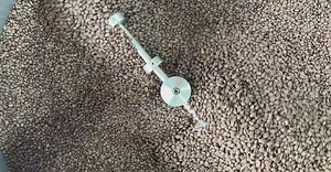 Video by Diego Castro Calderon on Pexels