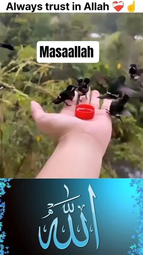 Always trust in Allah❤️‍🩹☝️ #islamic