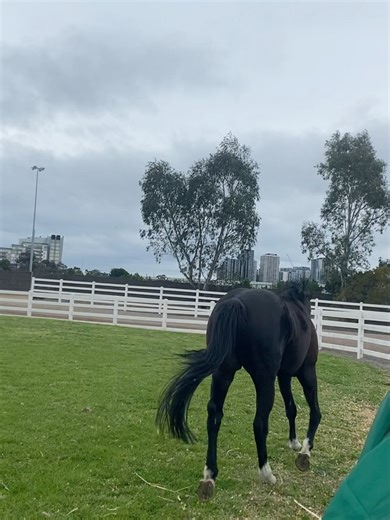 128 reactions · 5 comments | Living Legends on Reels | Facebook