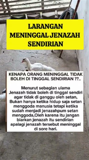jangan biarkan jenasah sendiri #doa #dzikir #selfreminder #selfimprovement #selfmotivation #short
