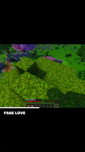 Reflecting on Life with Minecraft