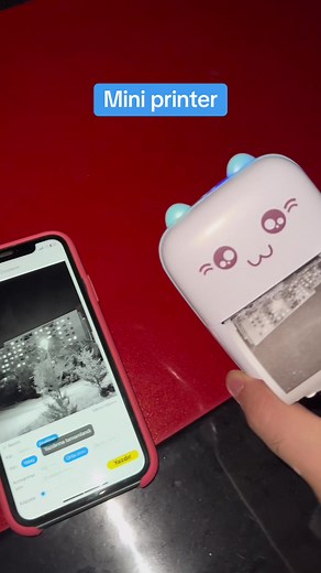 Small and Powerful: Discover the Mini Printer for All Your Needs