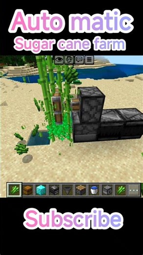 #Auto matic sugar cane farm in🧐🧐 badrock#minecraft short tips#short#🧐🧐🧐🧐🧐😲😲😲