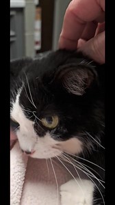 Update on Keebo Part 7 | Team Keebo